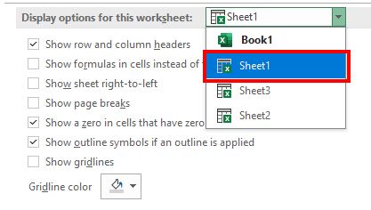 Gridlines DisplayOptionsThisSheet