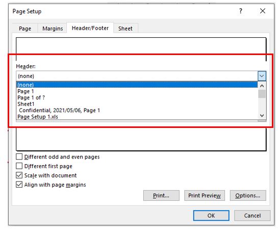 PageSetup Insert Header