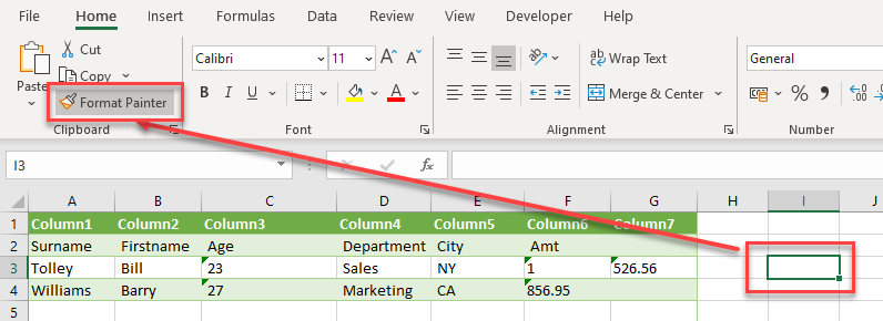 CleanData FormatPainter