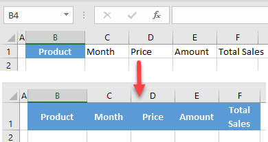 use format painter for multiple cells initial data